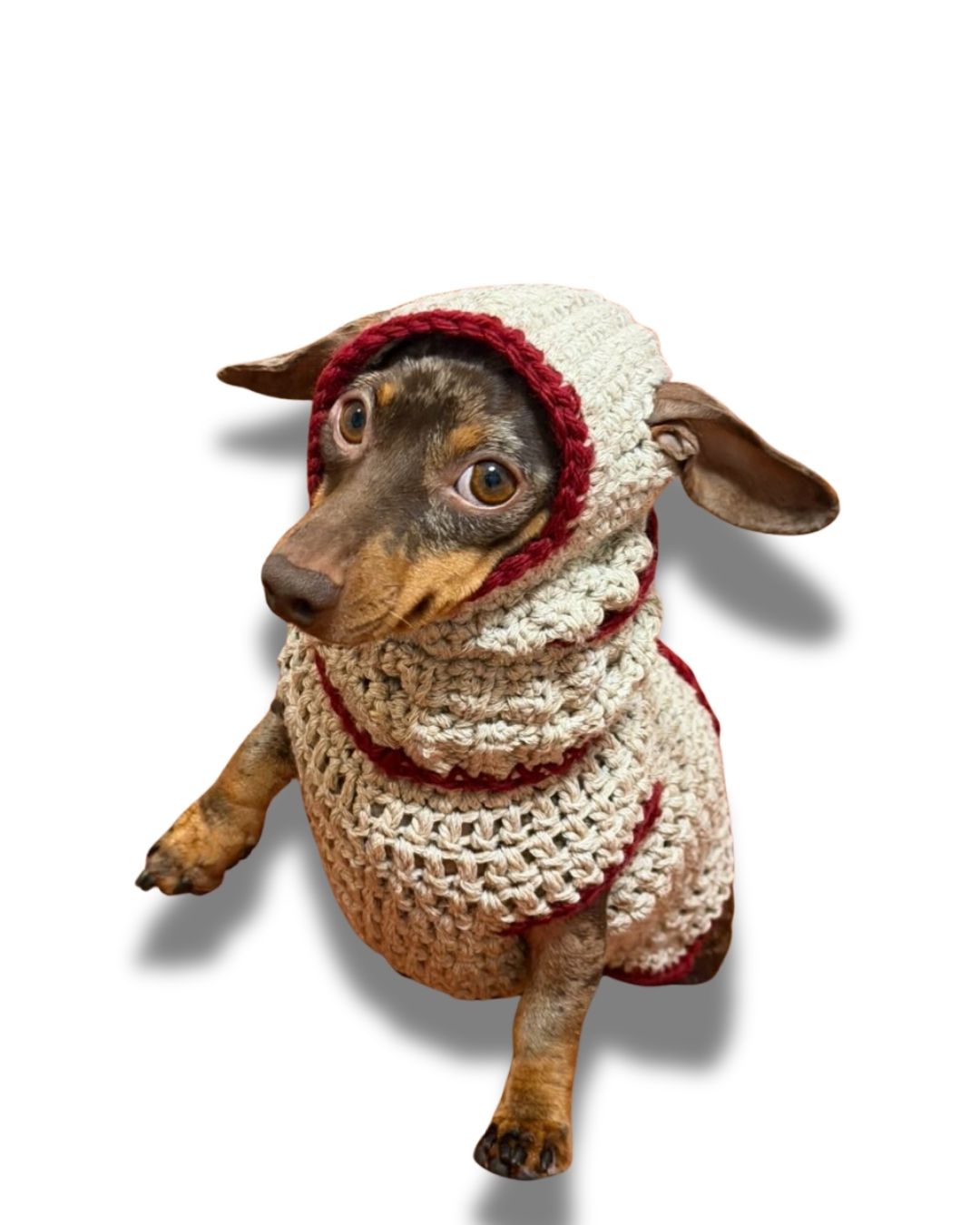 Set invernale - maglioncino e balaclava